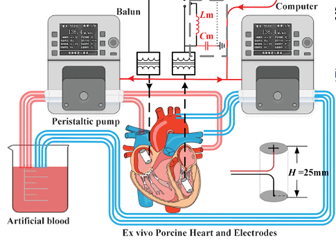 Dynamic path gain compensation for enhancing intracardiac communication in leadless pacemakers